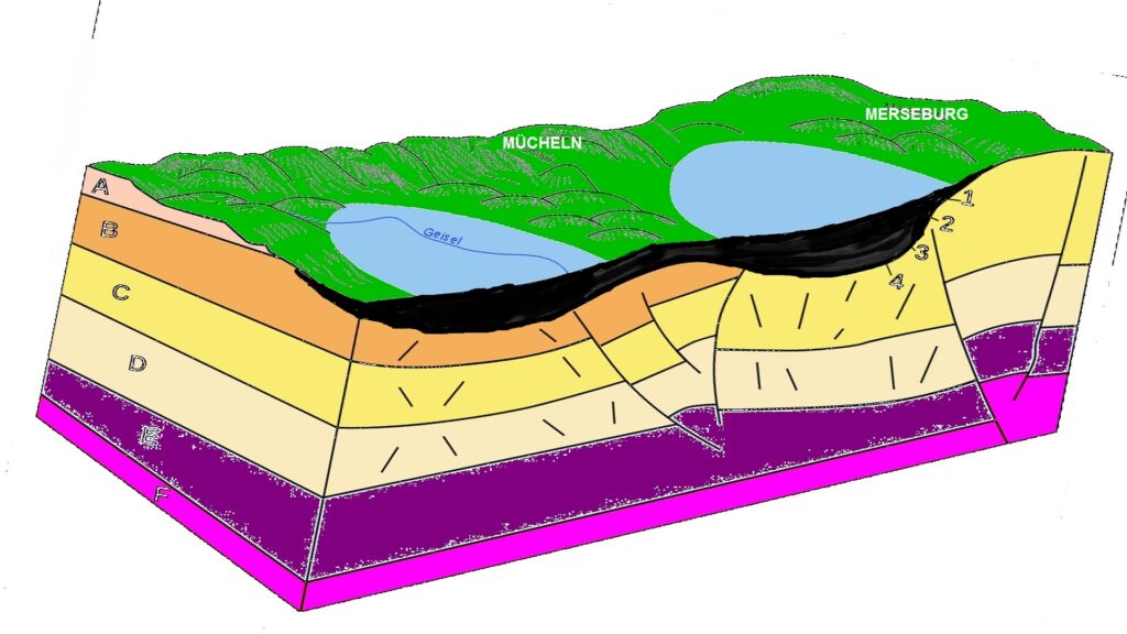 Struktur der Braunkohlenlagerstätte im Geiseltal