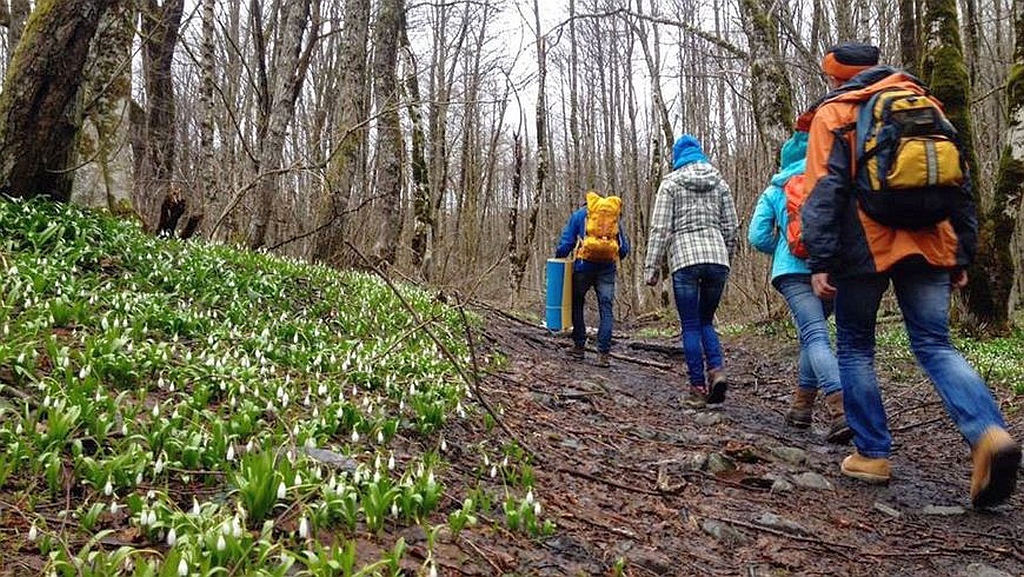 wandergruppe im wald